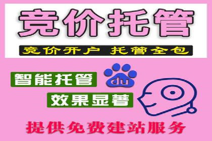 百度推广竞价效果评估：一则旅游行业的成功故事